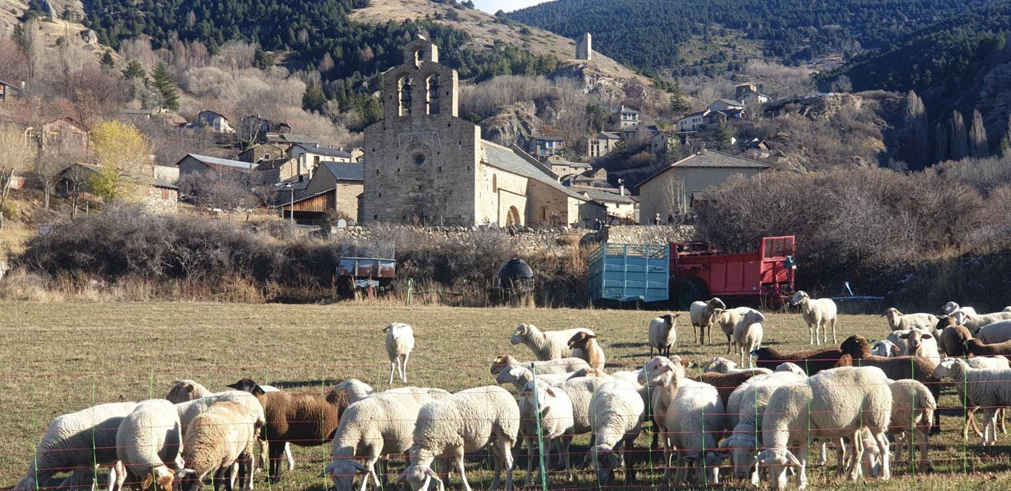 La Masia Del Taulat Chambres D'Hotes Llo 外观 照片